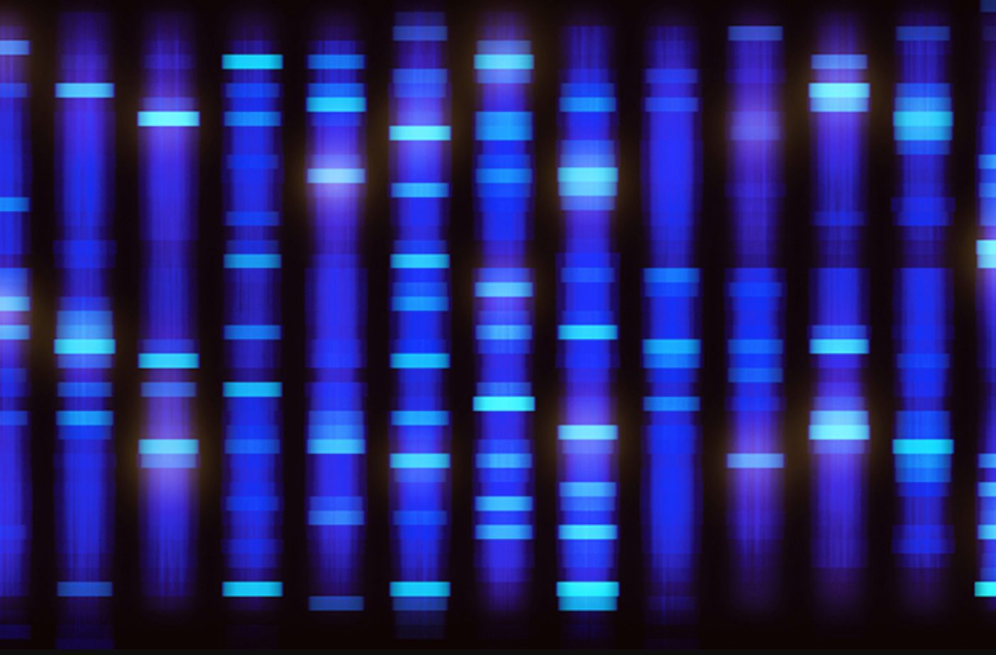 Thoughts on Musical Sequencing in HW